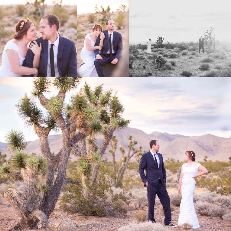 Anniversary shoot in Mojave Desert by Haizel Creations
