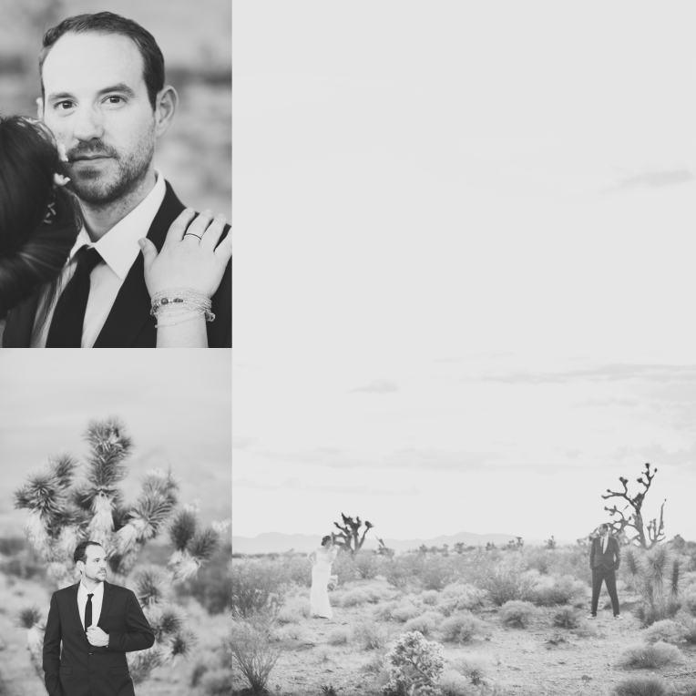 Black & White in Mojave Desert by Haizel Creations